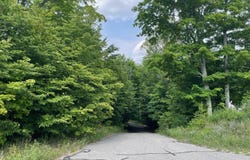 805 GUENTHER RIDGE, GAYLORD, MI 49735