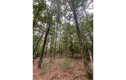 5099 Hwy 278 Highway, Chidester, AR 71726