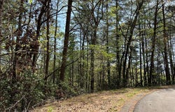 Lt699 Choctaw Drive, Ellijay, GA 30540