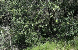 6972 Floyd Way, Nice, CA 95464