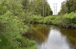 00 S Ever Blooming Drive, Baldwin, MI 49304