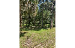 12350 W RIVERWOOD DRIVE, CRYSTAL RIVER, FL 34428