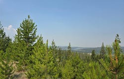 NHN Old Georgetown Road, Anaconda, MT 59711