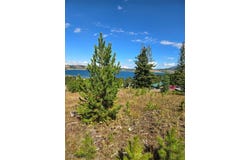 Highland Lane, Anaconda, MT 59711