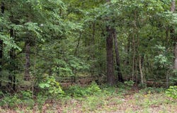 Kimberly Drive, Ozark Acres, AR 72482