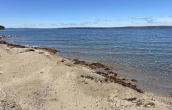 M12 L2-A The Shore Road, Castine, ME 04421