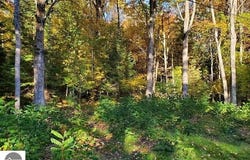 0 Scenic River Drive, Alger, MI 48610