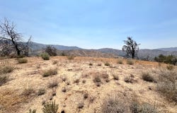 0 Black Oak Lot 1 Road, Caliente, CA 93518