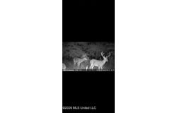 0014 Windermere Boulevard, Madison, MS 39110