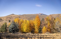 119 Highlands Dr, Sun Valley, ID 83353