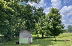 175 Roger Q Mill Road, Pembroke, KY 42266