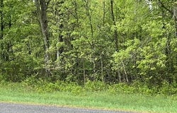 Lot 44 10th Street, Necedah, WI 54646