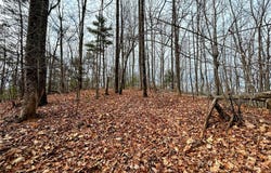 Rhododendron Drive lot: 12, Saluda, NC 28773