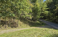 29 Depot Hill Rd, Lawrenceville, PA 16929