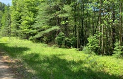 Lot 1 SOMO RIDGE DR, Tomahawk, WI 54487