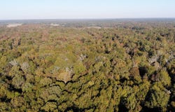 5302 bend rd, Vaughan, MS 39179