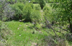 Chief Joseph WAY, Imnaha, OR 97842