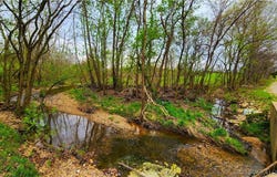 25455 Rail Road, Richland, MO 65556