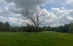 0 Edgemond Drive, Hartshorn, MO 65479