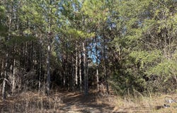 023 Barnes, Gordon, AL 36343