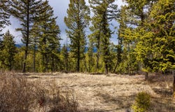 1243 Tobacco Valley View Road, Eureka, MT 59917