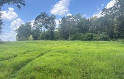 0 CR-215, Ariton, AL 36311