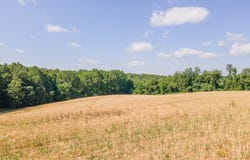 Tbd Hanging Tree, Hillsville, VA 24343