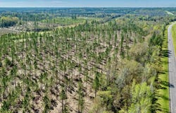 Lot 15-c Hwy 29, Molino, FL 32577