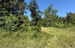 1153 CR 342, Henderson, TX 75654