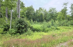 Unit 4 Greenway, Portage, MI 49931