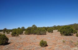 1 Camino Del Sol Road, Bernal, NM 87569