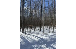 Parcel B Woodmansee Road, Cheboygan, MI 49721