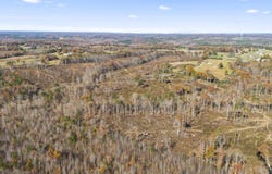 Co Rd 1067, Vinemont, AL 35179