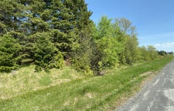 4-31 Caribou Road, Cyr Plt, ME 04785