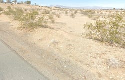 Safari Drive, CA-Needles, CA 92363