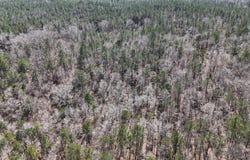 Old Meriwether Trail, Panola, AL 36046