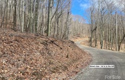 Hamlin Lane, Mars Hill, NC 28754