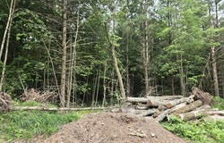 5369 E 68th Street, Chase, MI 49623