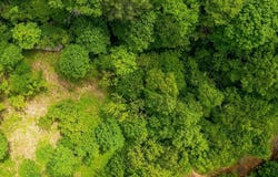21.25 Acre Chestnut Valley Road, Vonore, TN 37885
