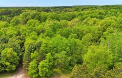 80+/- Acres V/L 140th Ave, Stanwood, MI 49346