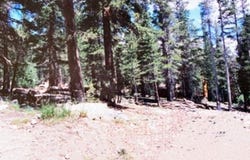 90 Pinecrest Drive, Virginia Lakes, CA 93517