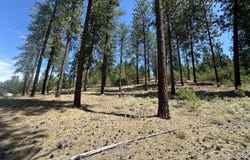 1363 ARTHUR CT, KETTLE FALLS, WA 99141