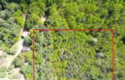 TBD E Bodus Road, Cedar, MI 49621