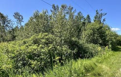 14371 STONEY POINTE ROAD, CHEBOYGAN, MI 49721