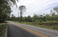 0 COCHRAN SPRINGS ROAD, OHATCHEE, AL 36271