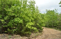 Tracts 26 and Tract 32, Hidden Bluff Circle, Brumley, MO 65017