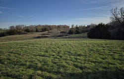 S Farm Road 11, Ash Grove, MO 65604