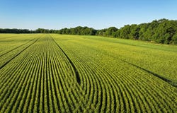 13  Road, Moline, KS 67353