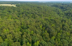 Lot 3 SALEM CHURCH ROAD, KING GEORGE, VA 22485