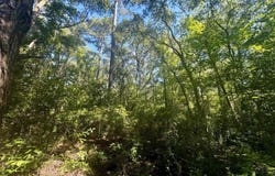 NW Little Cat Road, Madison, FL 32340